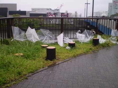 f:id:wanda002:20090831164131j:image f:id:wanda002:20090831164131j:image