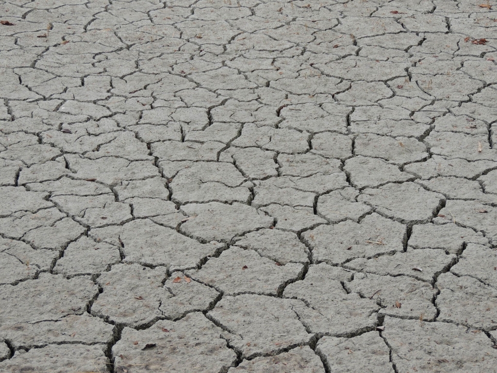 f:id:wandafa:20151103010448j:plain f:id:wandafa:20151103010448j:plain