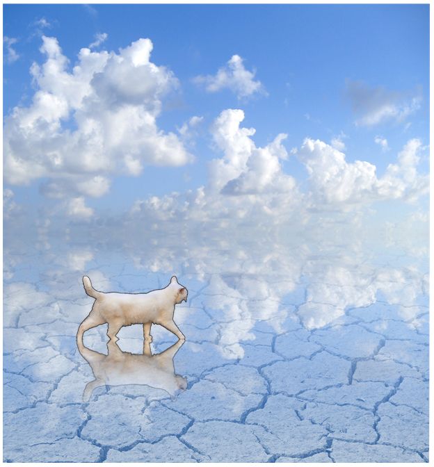 f:id:wandafa:20151103020653j:plain f:id:wandafa:20151103020653j:plain