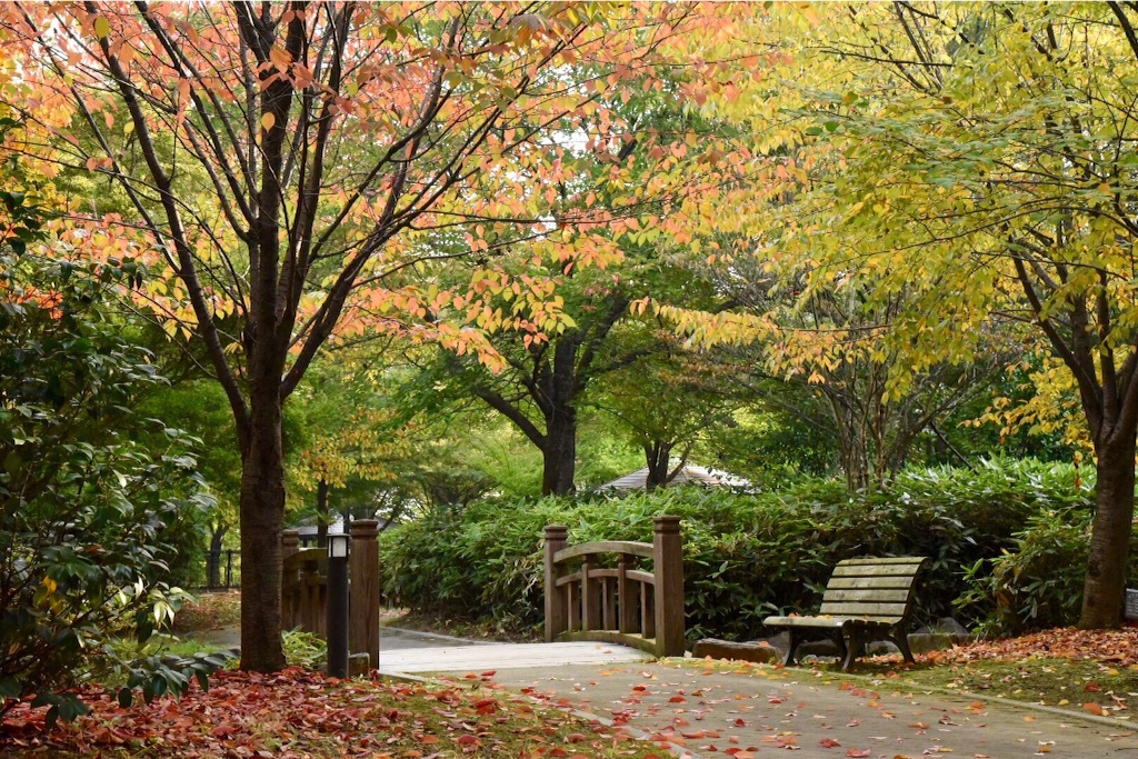 f:id:wanderful-life:20151013230603j:image f:id:wanderful-life:20151013230603j:image