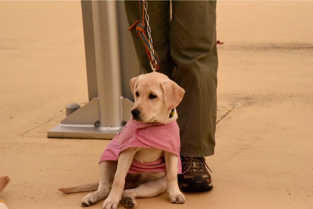 f:id:wanderful-life:20151013232901j:image f:id:wanderful-life:20151013232901j:image