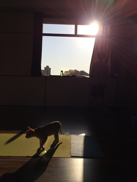 f:id:wasami:20150117215136j:plain f:id:wasami:20150117215136j:plain