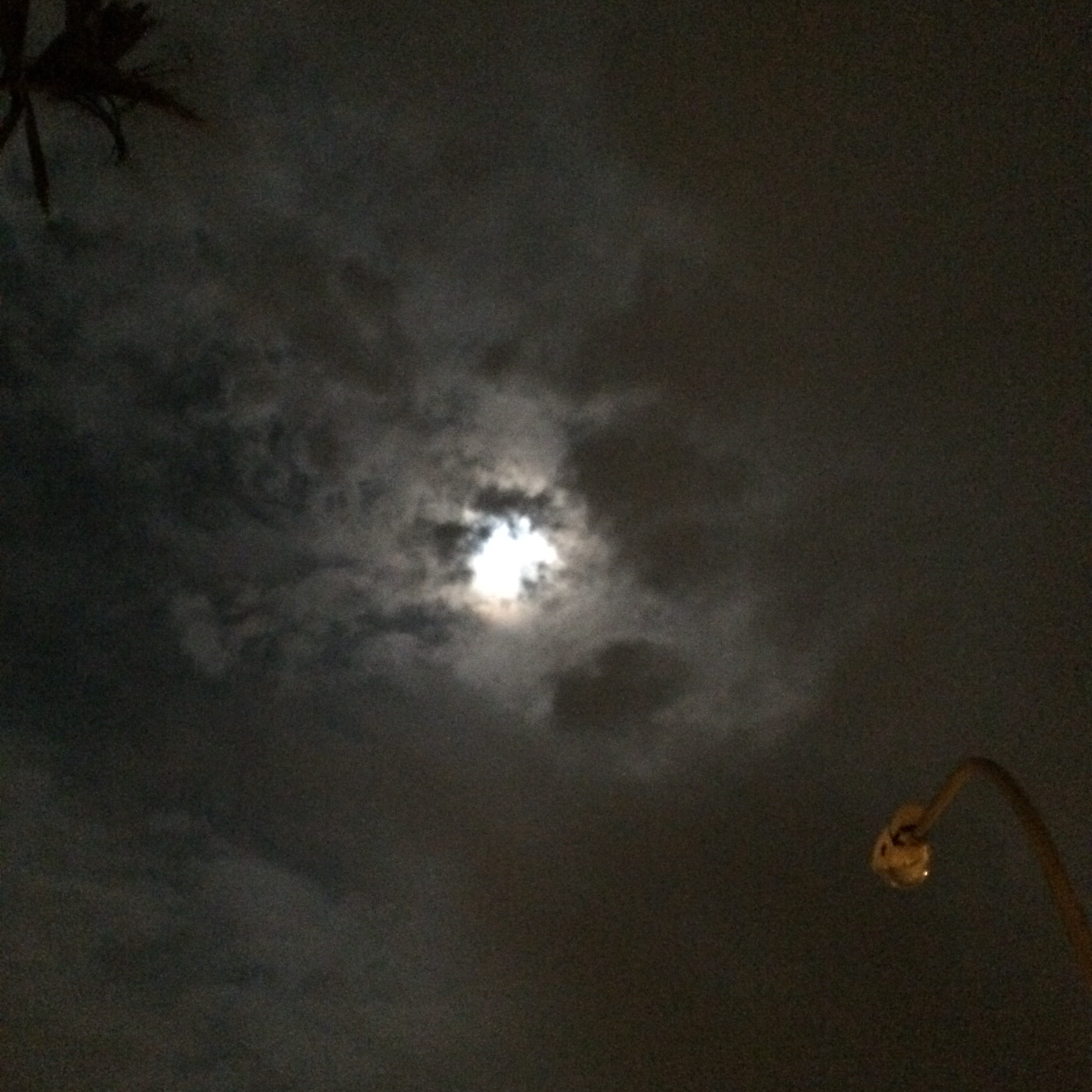 f:id:wasami:20150801005907j:image f:id:wasami:20150801005907j:image