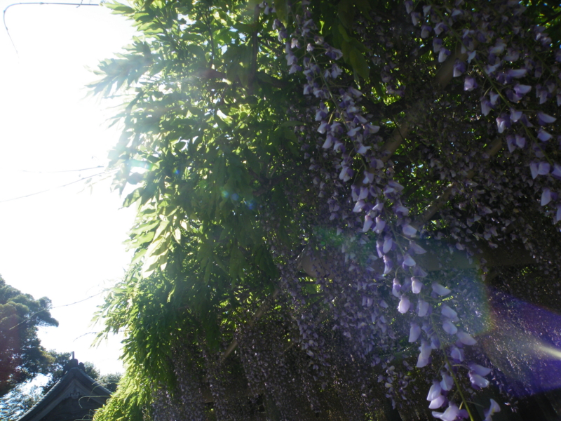 f:id:wasdes346:20120505150828j:plain f:id:wasdes346:20120505150828j:plain