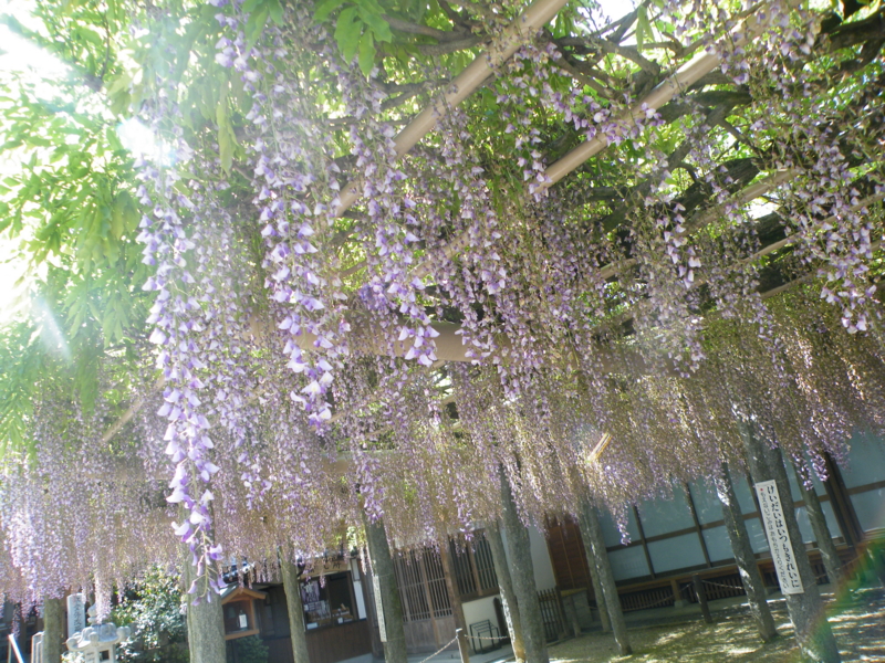 f:id:wasdes346:20120509222048j:plain f:id:wasdes346:20120509222048j:plain
