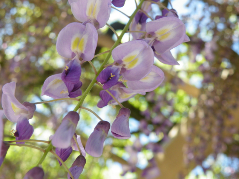 f:id:wasdes346:20120509222803j:plain f:id:wasdes346:20120509222803j:plain