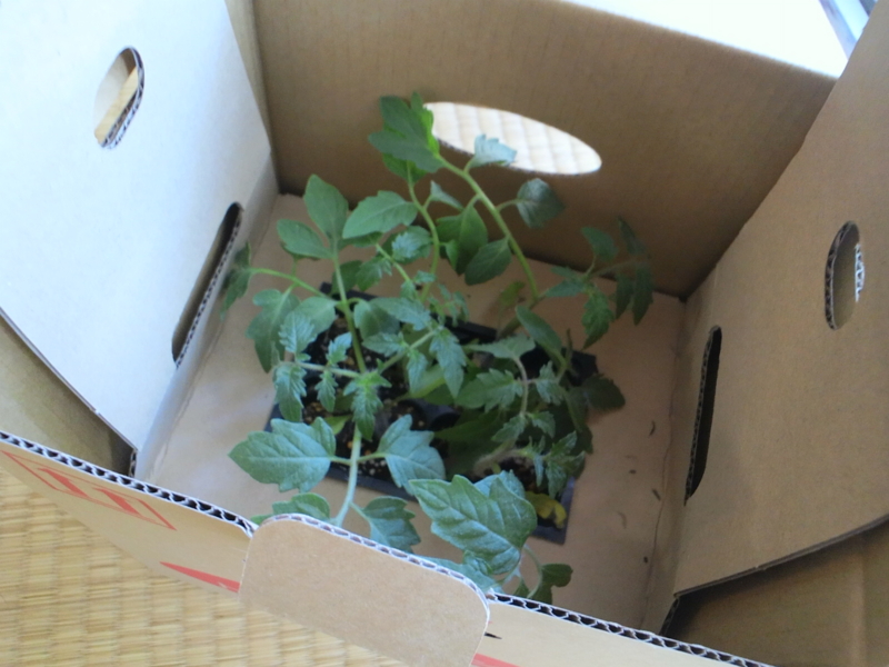 f:id:watayuki8313:20150514132832j:plain f:id:watayuki8313:20150514132832j:plain