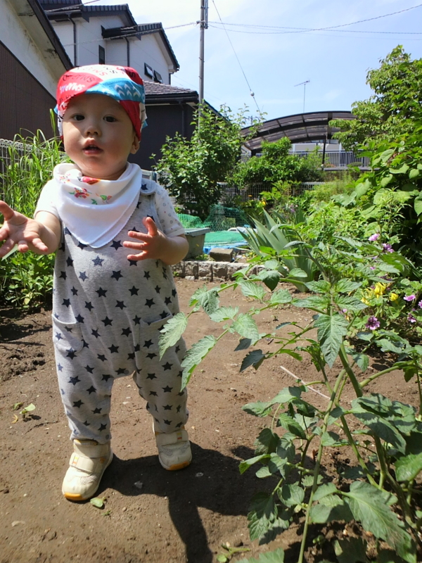 f:id:watayuki8313:20150514133208j:plain f:id:watayuki8313:20150514133208j:plain