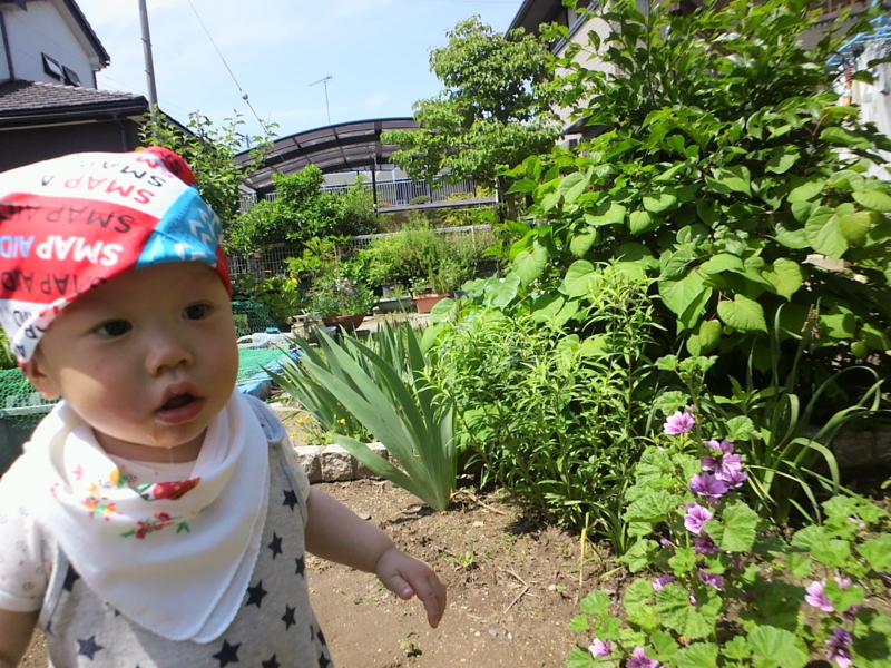 f:id:watayuki8313:20150514133333j:plain f:id:watayuki8313:20150514133333j:plain