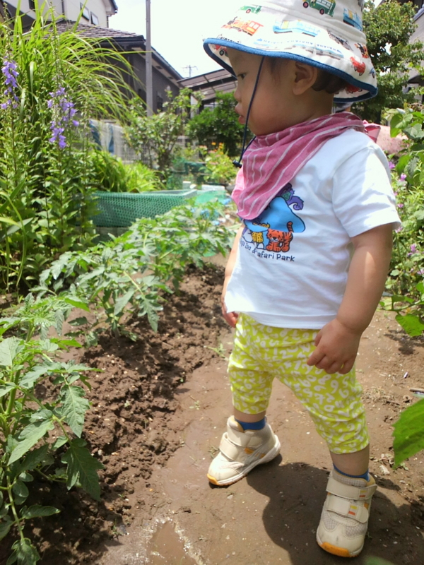 f:id:watayuki8313:20150605223119j:plain f:id:watayuki8313:20150605223119j:plain