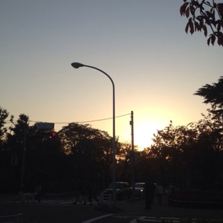 f:id:waxing-and-waning_moon:20131124190458j:plain f:id:waxing-and-waning_moon:20131124190458j:plain