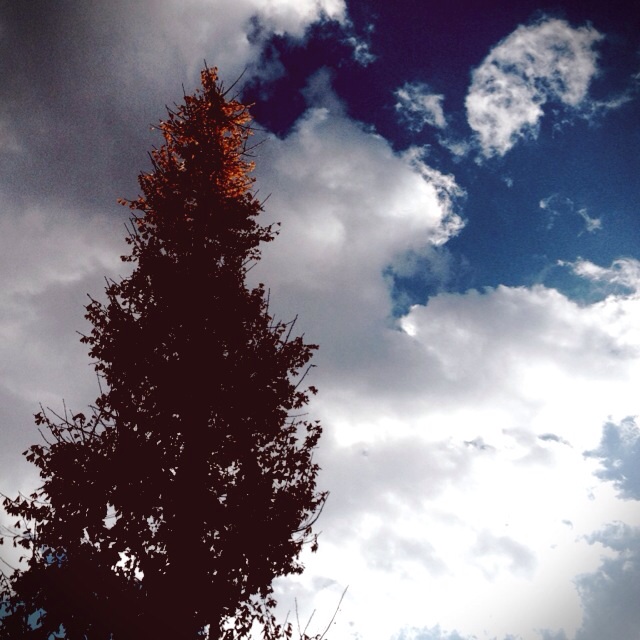 f:id:waxing-and-waning_moon:20131212212043j:plain f:id:waxing-and-waning_moon:20131212212043j:plain