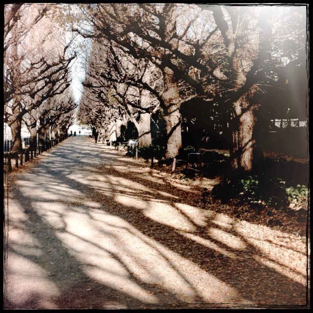 f:id:waxing-and-waning_moon:20131218214438j:plain f:id:waxing-and-waning_moon:20131218214438j:plain