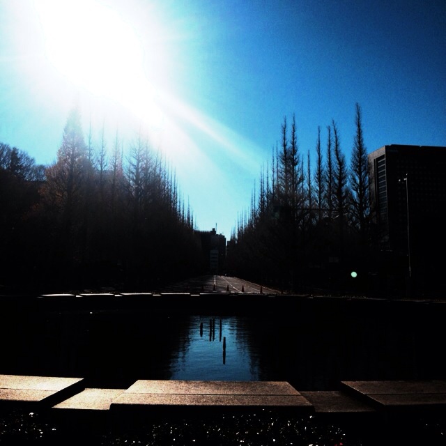 f:id:waxing-and-waning_moon:20131222124122j:plain f:id:waxing-and-waning_moon:20131222124122j:plain