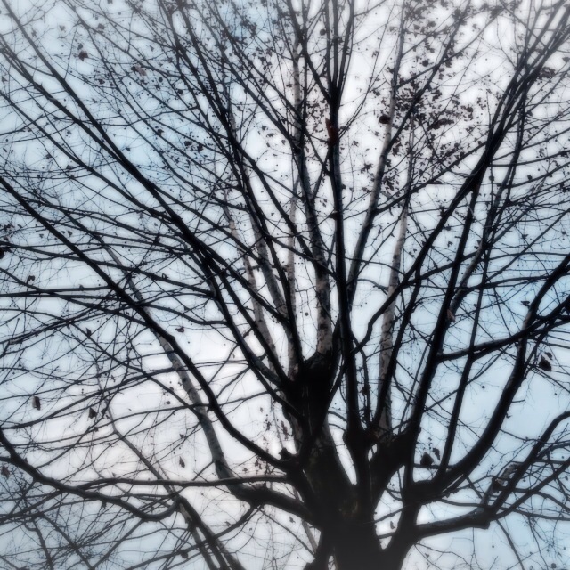 f:id:waxing-and-waning_moon:20131227201825j:plain f:id:waxing-and-waning_moon:20131227201825j:plain