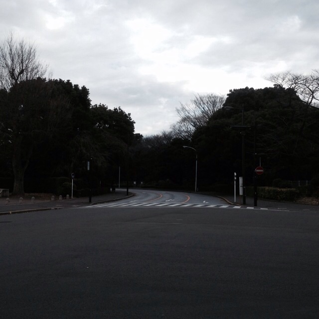 f:id:waxing-and-waning_moon:20140105183404j:plain f:id:waxing-and-waning_moon:20140105183404j:plain