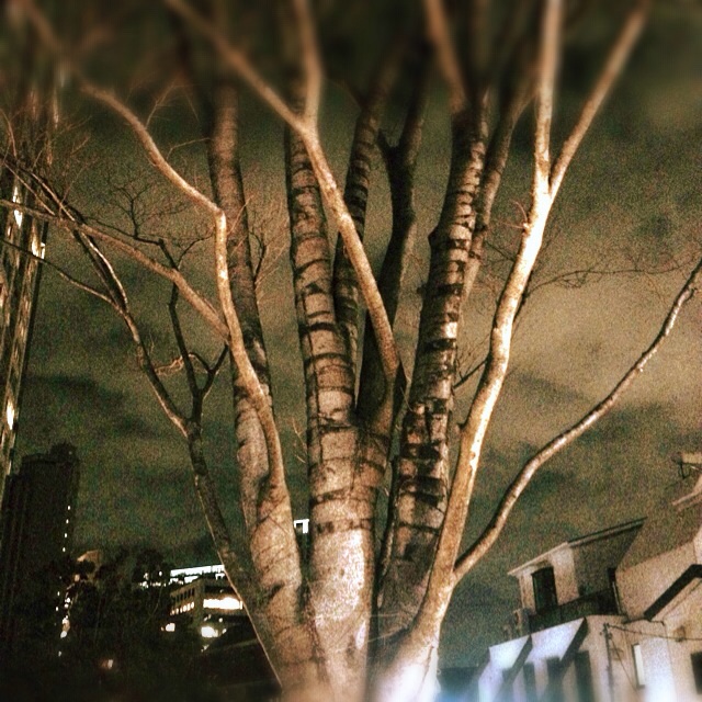 f:id:waxing-and-waning_moon:20140205211901j:plain f:id:waxing-and-waning_moon:20140205211901j:plain
