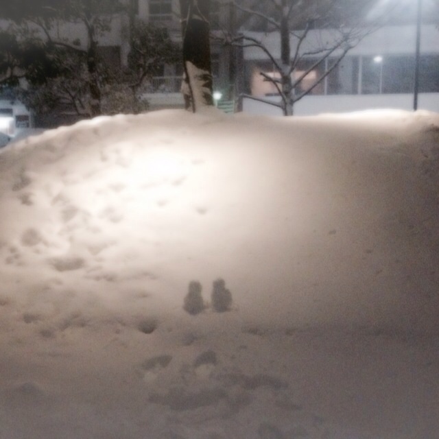 f:id:waxing-and-waning_moon:20140208194025j:plain f:id:waxing-and-waning_moon:20140208194025j:plain