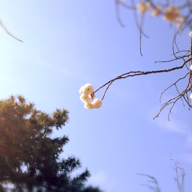 f:id:waxing-and-waning_moon:20140412193307j:plain f:id:waxing-and-waning_moon:20140412193307j:plain
