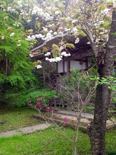 f:id:waxing-and-waning_moon:20140503220613j:plain f:id:waxing-and-waning_moon:20140503220613j:plain