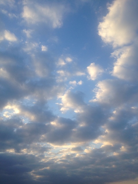 f:id:waxing-and-waning_moon:20140613211256j:plain f:id:waxing-and-waning_moon:20140613211256j:plain