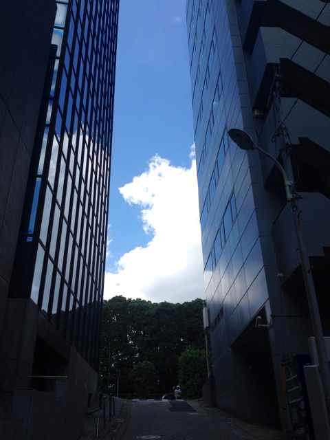 f:id:waxing-and-waning_moon:20140629191800j:plain f:id:waxing-and-waning_moon:20140629191800j:plain