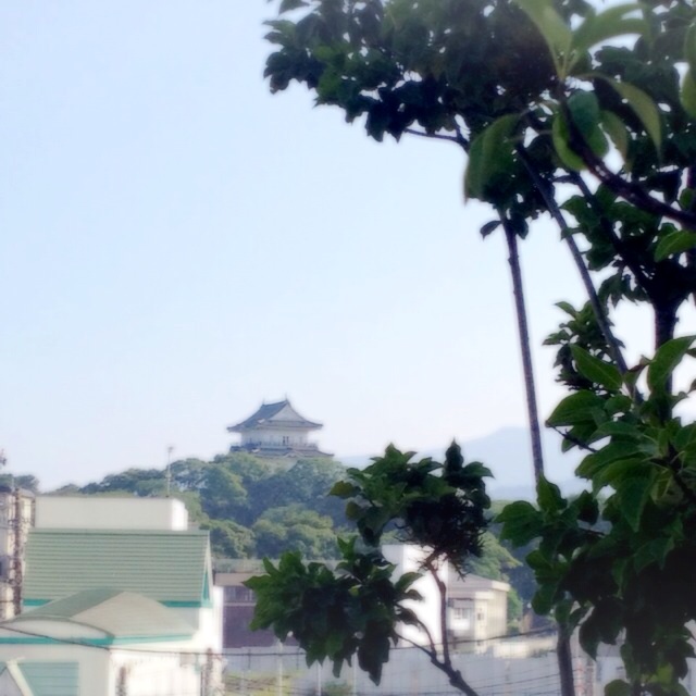 f:id:waxing-and-waning_moon:20140716182109j:plain f:id:waxing-and-waning_moon:20140716182109j:plain
