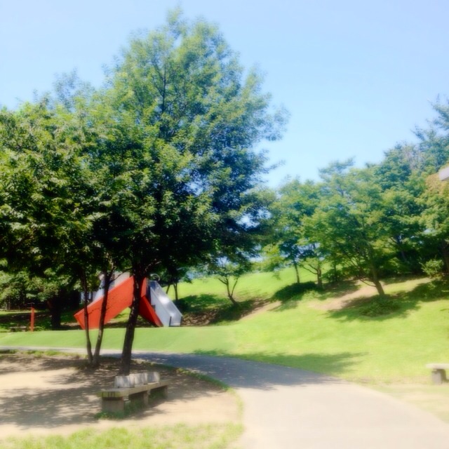 f:id:waxing-and-waning_moon:20140727212447j:plain f:id:waxing-and-waning_moon:20140727212447j:plain