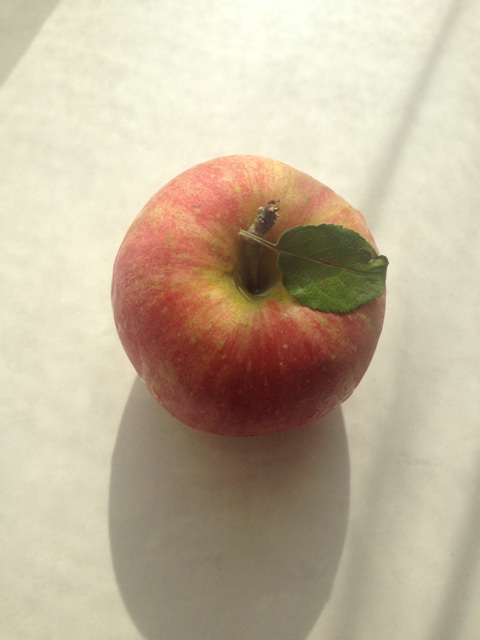 f:id:waxing-and-waning_moon:20140923220412j:plain f:id:waxing-and-waning_moon:20140923220412j:plain