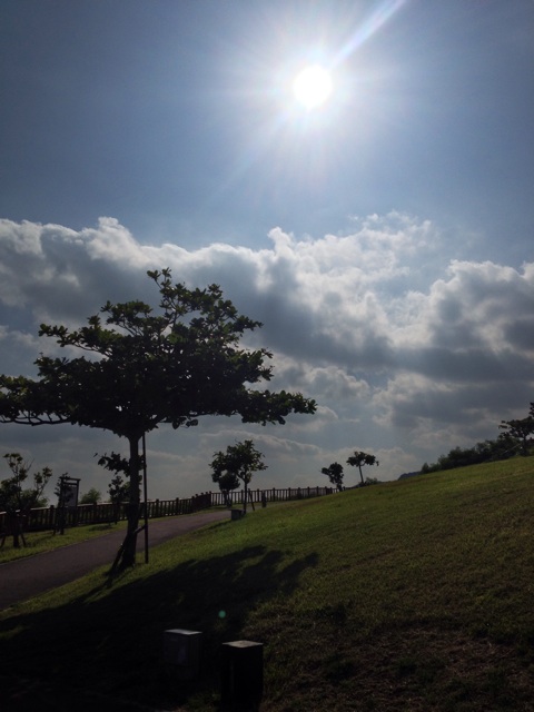 f:id:waxing-and-waning_moon:20140926212203j:plain f:id:waxing-and-waning_moon:20140926212203j:plain