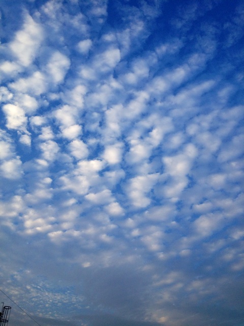f:id:waxing-and-waning_moon:20140930185723j:plain f:id:waxing-and-waning_moon:20140930185723j:plain