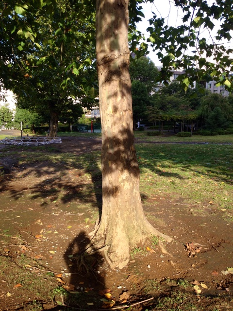 f:id:waxing-and-waning_moon:20141006220712j:plain f:id:waxing-and-waning_moon:20141006220712j:plain