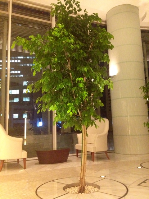 f:id:waxing-and-waning_moon:20141009225503j:plain f:id:waxing-and-waning_moon:20141009225503j:plain