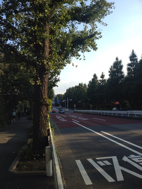 f:id:waxing-and-waning_moon:20141019184752j:plain f:id:waxing-and-waning_moon:20141019184752j:plain