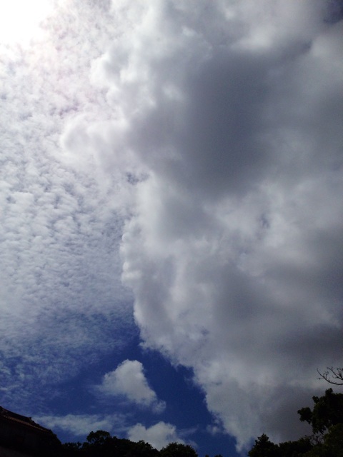 f:id:waxing-and-waning_moon:20141025210227j:plain f:id:waxing-and-waning_moon:20141025210227j:plain