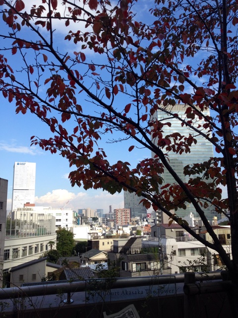 f:id:waxing-and-waning_moon:20141027231552j:plain f:id:waxing-and-waning_moon:20141027231552j:plain
