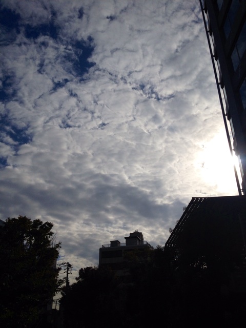 f:id:waxing-and-waning_moon:20141107233515j:plain f:id:waxing-and-waning_moon:20141107233515j:plain