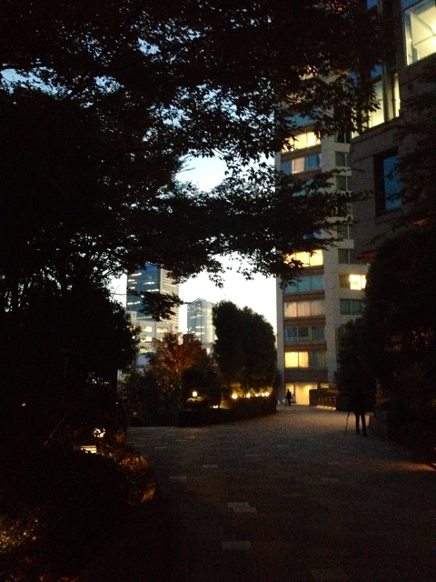 f:id:waxing-and-waning_moon:20141117215204j:plain f:id:waxing-and-waning_moon:20141117215204j:plain