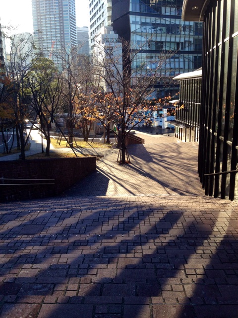 f:id:waxing-and-waning_moon:20141203201042j:plain f:id:waxing-and-waning_moon:20141203201042j:plain