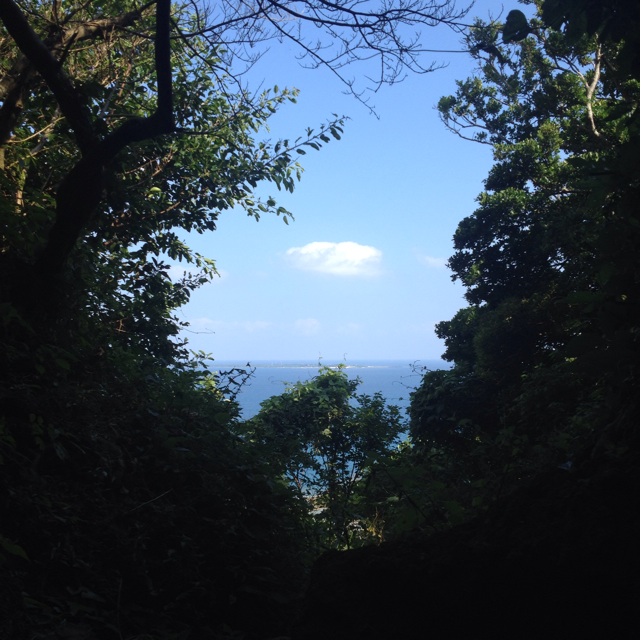 f:id:waxing-and-waning_moon:20141205223112j:plain f:id:waxing-and-waning_moon:20141205223112j:plain