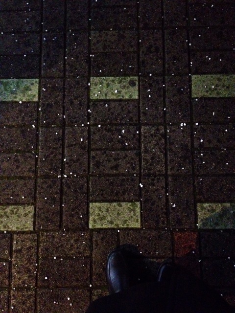 f:id:waxing-and-waning_moon:20141214211917j:plain f:id:waxing-and-waning_moon:20141214211917j:plain
