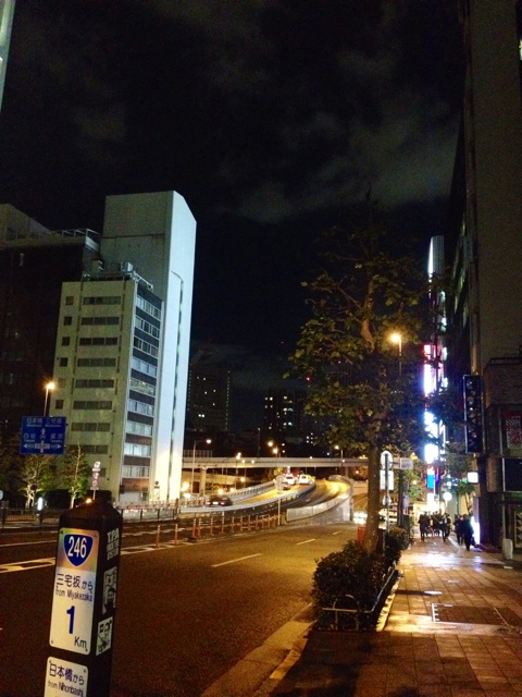 f:id:waxing-and-waning_moon:20141214211945j:plain f:id:waxing-and-waning_moon:20141214211945j:plain