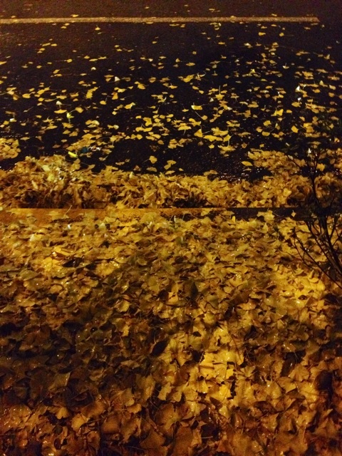 f:id:waxing-and-waning_moon:20141216192924j:plain f:id:waxing-and-waning_moon:20141216192924j:plain