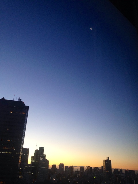 f:id:waxing-and-waning_moon:20141217221408j:plain f:id:waxing-and-waning_moon:20141217221408j:plain