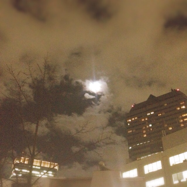 f:id:waxing-and-waning_moon:20150108224738j:plain f:id:waxing-and-waning_moon:20150108224738j:plain