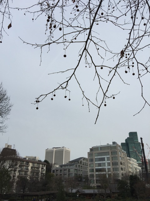 f:id:waxing-and-waning_moon:20150125190535j:plain f:id:waxing-and-waning_moon:20150125190535j:plain