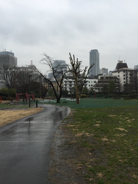f:id:waxing-and-waning_moon:20150304213823j:plain f:id:waxing-and-waning_moon:20150304213823j:plain