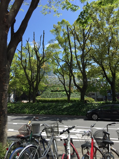 f:id:waxing-and-waning_moon:20150421192243j:plain f:id:waxing-and-waning_moon:20150421192243j:plain