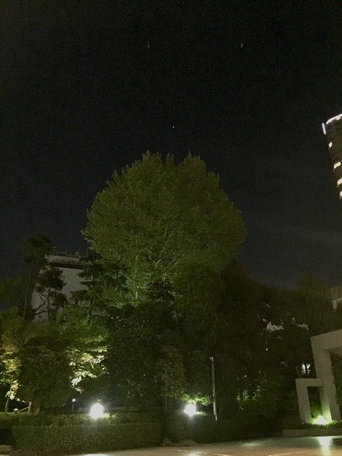 f:id:waxing-and-waning_moon:20150430223509j:image f:id:waxing-and-waning_moon:20150430223509j:image