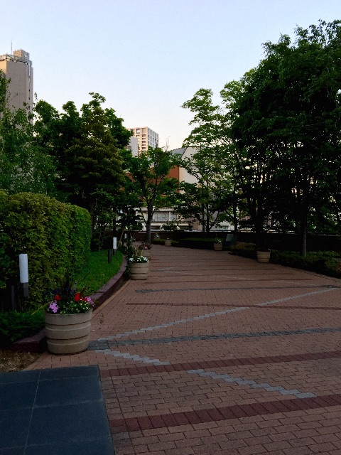 f:id:waxing-and-waning_moon:20150507184805j:image f:id:waxing-and-waning_moon:20150507184805j:image